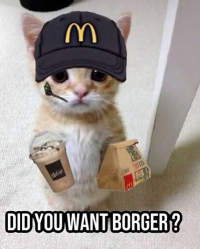DID YOU WANT BORGER? 機 3