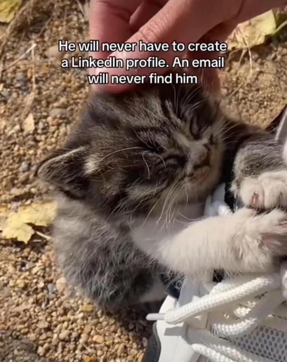 He will never have to create a LinkedIn profile. An email will never find him