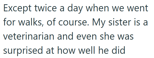 Except twice a day when we went for walks, of course. My sister is a veterinarian and even she was surprised at how well he did