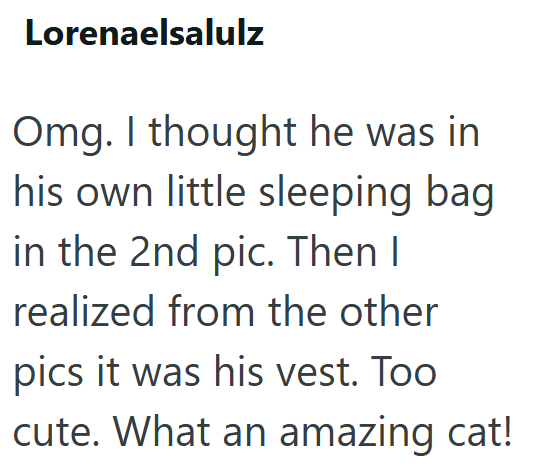Lorenaelsalulz Omg. I thought he was in his own little sleeping bag in the 2nd pic. Then I realized from the other pics it was his vest. Too cute. What an amazing cat!