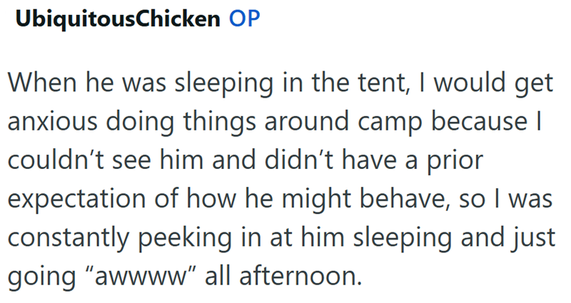 UbiquitousChicken OP When he was sleeping in the tent, I would get anxious doing things around camp because I couldn't see him and didn't have a prior expectation of how he might behave, so I was constantly peeking in at him sleeping and just going "awwww" all afternoon.
