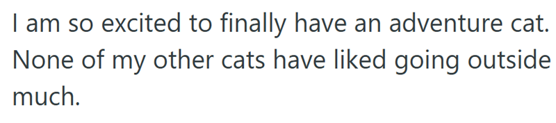 I am so excited to finally have an adventure cat. None of my other cats have liked going outside much.