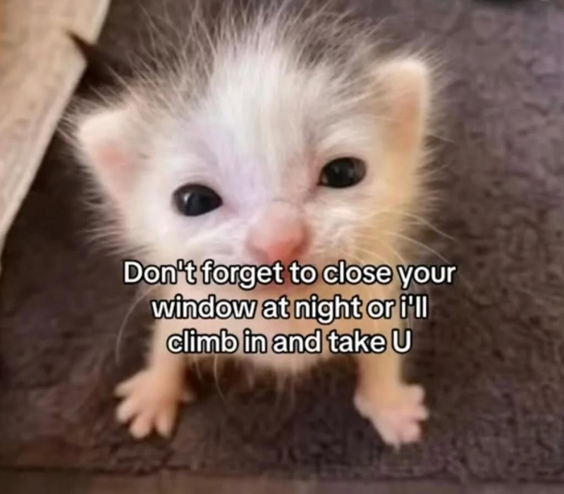Don't forget to close your window at night or i'll climb in and take U