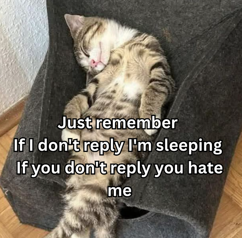 Just remember If I don't reply I'm sleeping If you don't reply you hate me