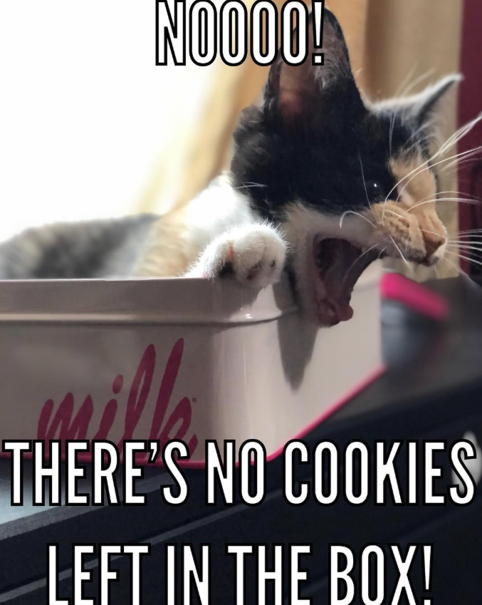 NOOOO! THERE'S NO COOKIES LEFT IN THE BOX!