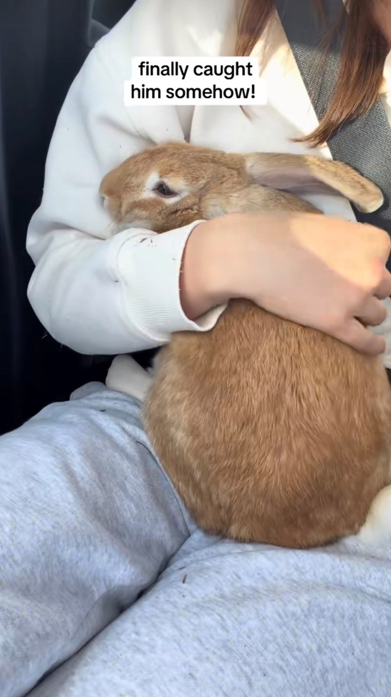 finally caught him somehow!