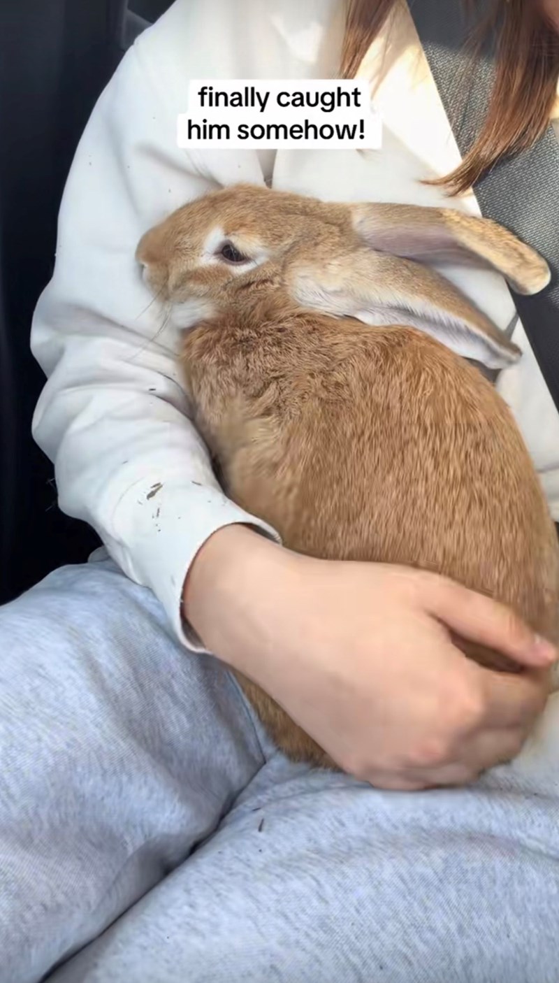 finally caught him somehow!