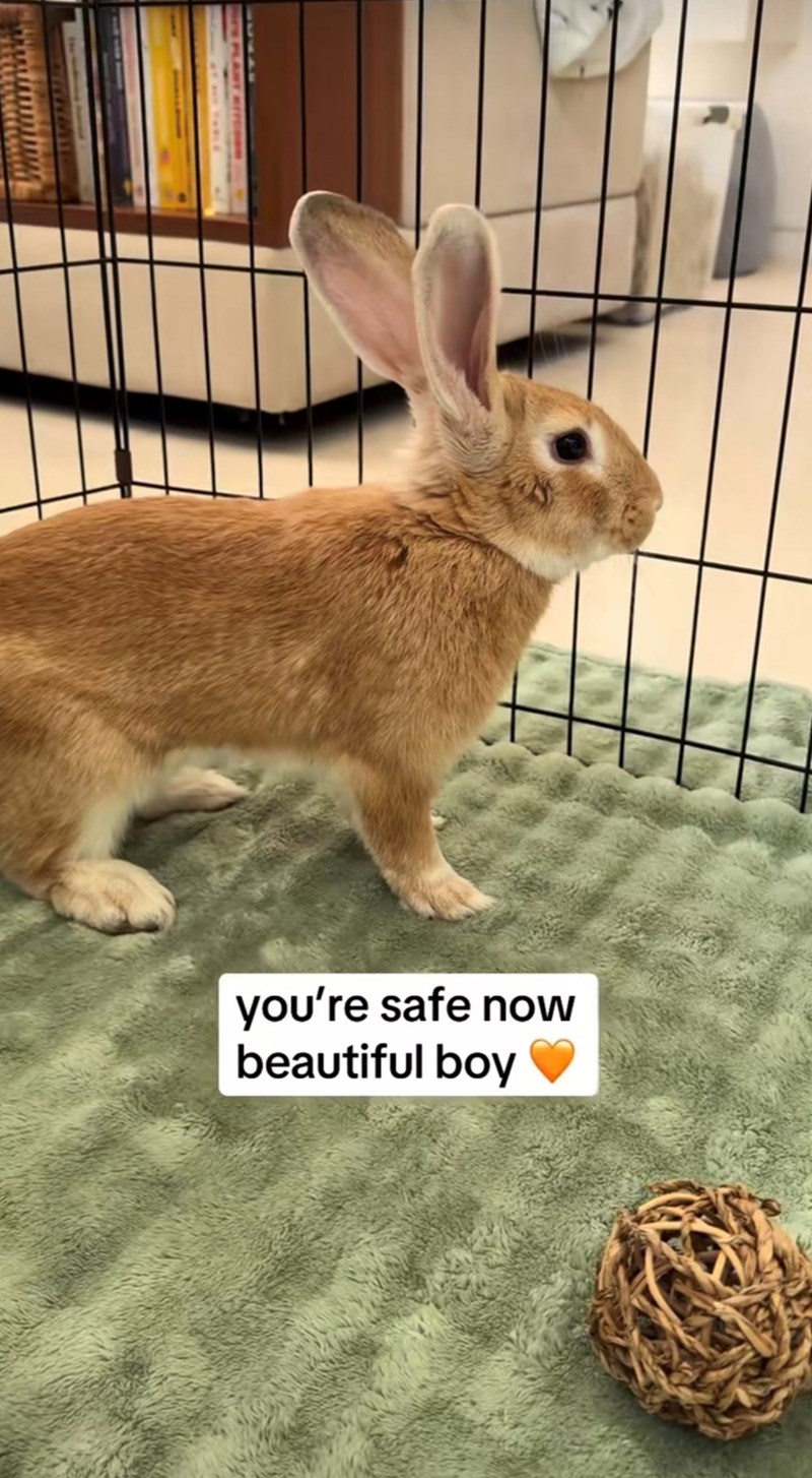 you're safe now beautiful boy