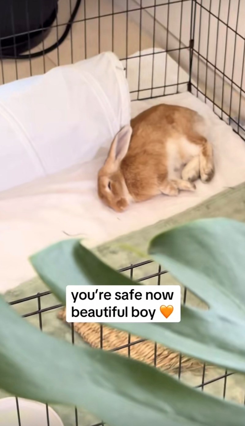 you're safe now beautiful boy