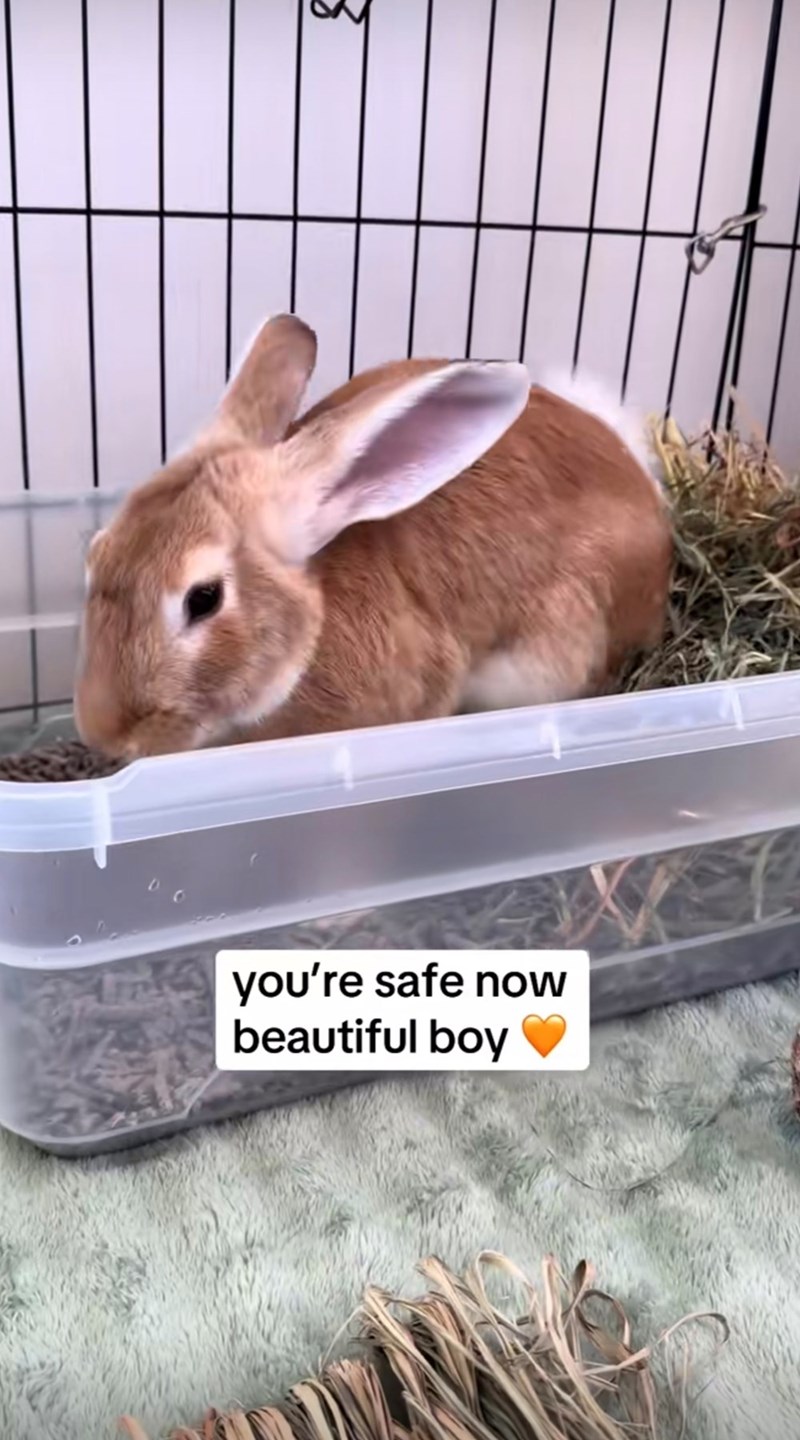 you're safe now beautiful boy