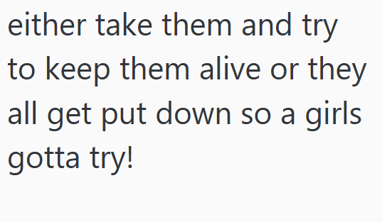 either take them and try to keep them alive or they all get put down so a girls gotta try!
