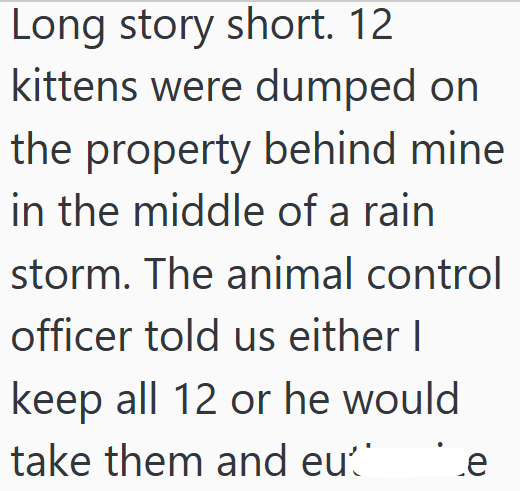 Long story short. 12 kittens were dumped on the property behind mine in the middle of a rain storm. The animal control officer told us either I keep all 12 or he would take them and eue