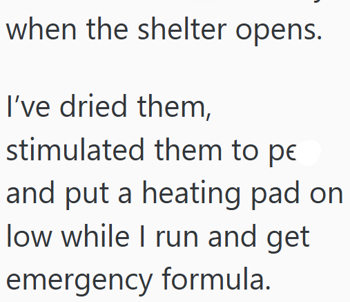 when the shelter opens. I've dried them, stimulated them to pe and put a heating pad on low while I run and get emergency formula.