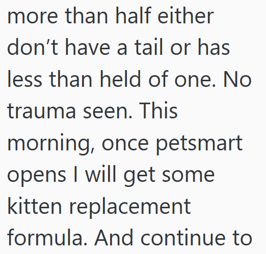 more than half either I don't have a tail or has less than held of one. No trauma seen. This morning, once petsmart opens I will get some kitten replacement formula. And continue to