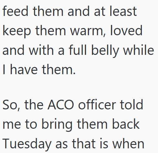 feed them and at least keep them warm, loved and with a full belly while I have them. So, the ACO officer told me to bring them back Tuesday as that is when