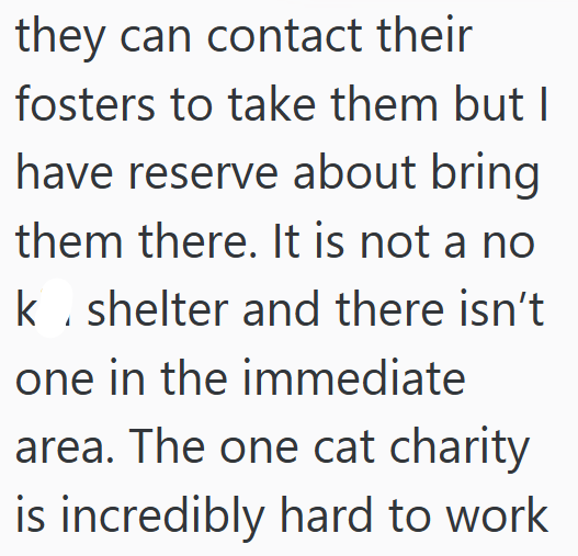 they can contact their fosters to take them but I have reserve about bring them there. It is not a no k. shelter and there isn't one in the immediate area. The one cat charity is incredibly hard to work