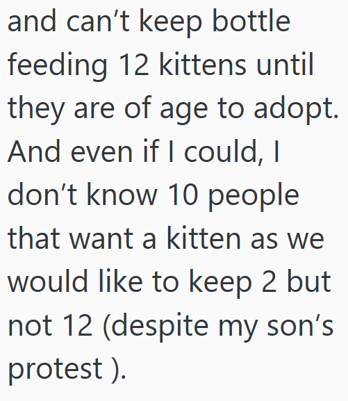 and can't keep bottle feeding 12 kittens until they are of age to adopt. And even if I could, I don't know 10 people that want a kitten as we would like to keep 2 but not 12 (despite my son's protest ).
