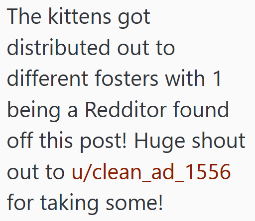 The kittens got distributed out to different fosters with 1 being a Redditor found off this post! Huge shout out to u/clean_ad_1556 for taking some!