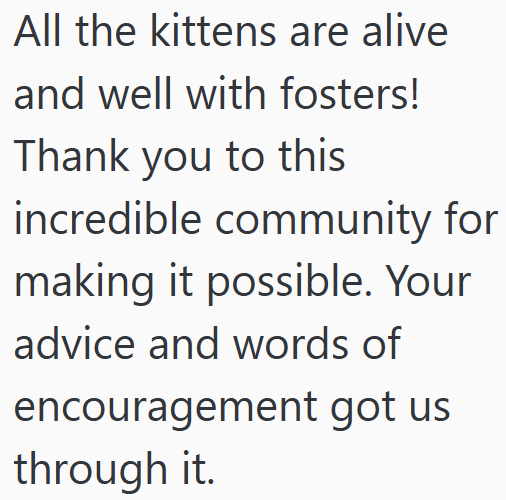 All the kittens are alive and well with fosters! Thank you to this incredible community for making it possible. Your advice and words of encouragement got us through it.