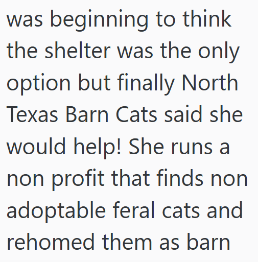 was beginning to think the shelter was the only option but finally North Texas Barn Cats said she would help! She runs a non profit that finds non adoptable feral cats and rehomed them as barn