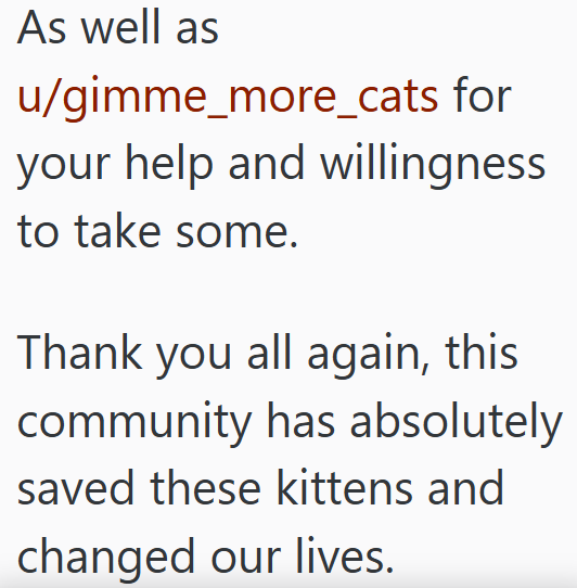 As well as u/gimme_more_cats for your help and willingness to take some. Thank you all again, this community has absolutely saved these kittens and changed our lives.