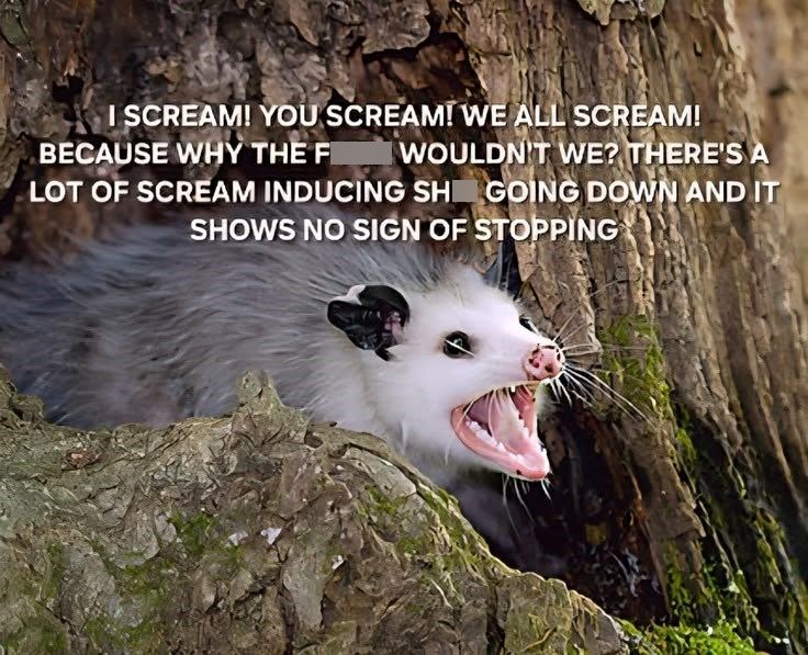 I SCREAM! YOU SCREAM! WE ALL SCREAM! BECAUSE WHY THE FI I WOULDN'T WE? THERE'S A LOT OF SCREAM INDUCING SHE GOING DOWN AND IT SHOWS NO SIGN OF STOPPING