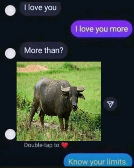 I love you More than? I love you more Double-tap to V Know your limits.
