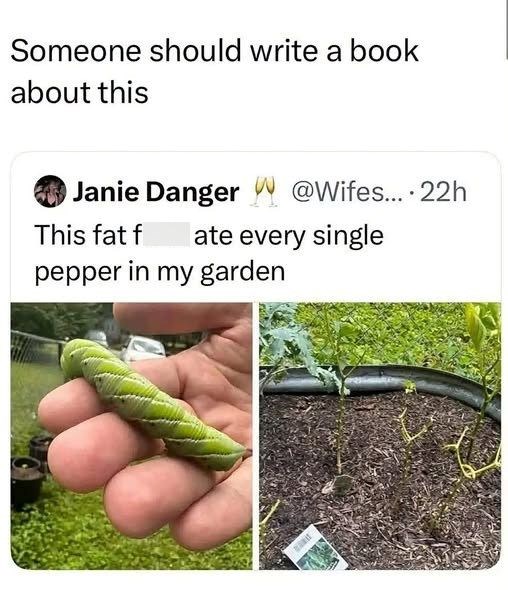 Someone should write a book about this Janie Danger @Wifes.... 22h This fat f ate every single pepper in my garden