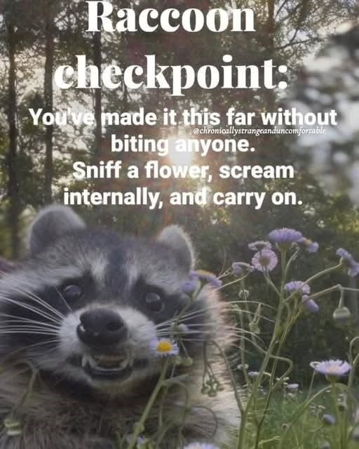 Raccoon checkpoint: You've made it this far without @chronicallystrangeanduncomfortable biting anyone. Sniff a flower, scream internally, and carry on.