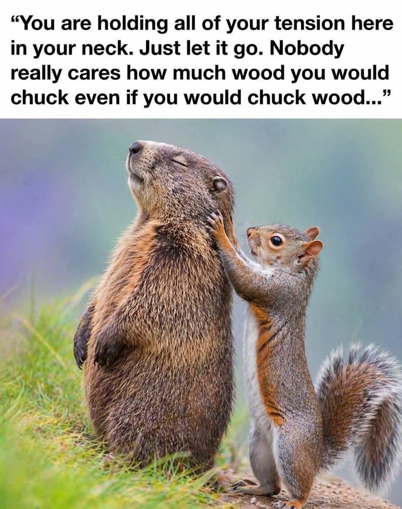 "You are holding all of your tension here in your neck. Just let it go. Nobody really cares how much wood you would chuck even if you would chuck wood..."