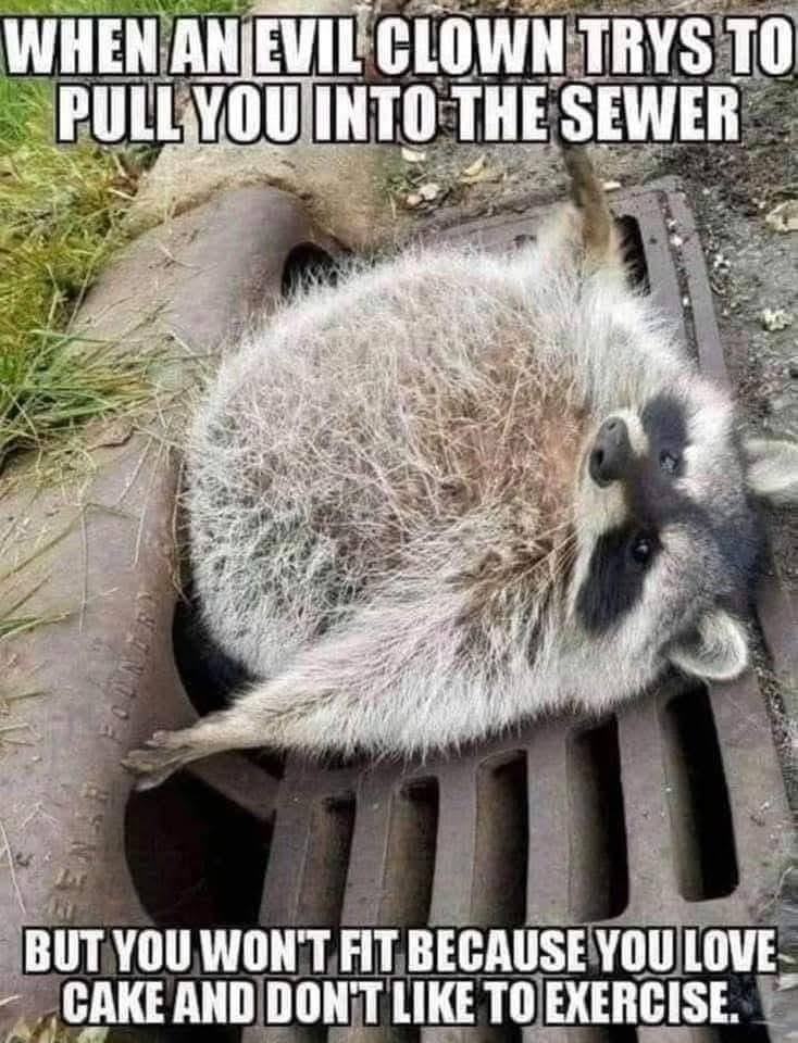 WHEN AN EVIL CLOWN TRYS TO PULL YOU INTO THE SEWER BUT YOU WON'T FIT BECAUSE YOU LOVE CAKE AND DON'T LIKE TO EXERCISE.
