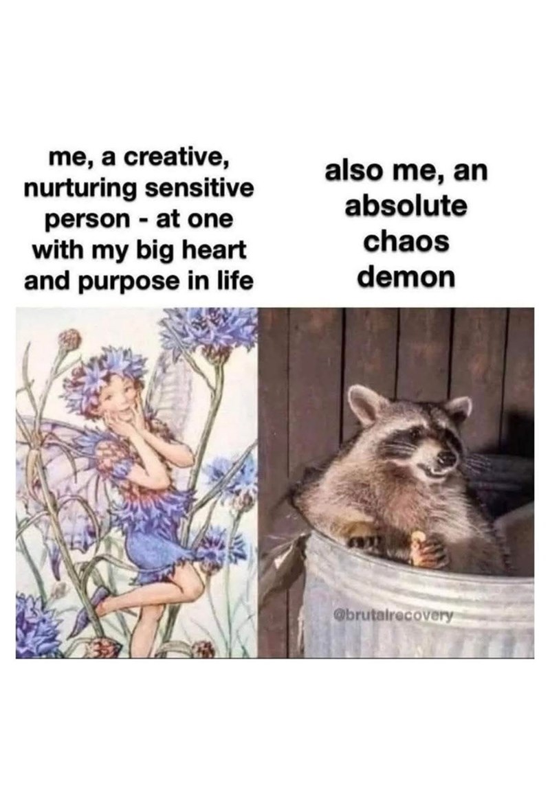 me, a creative, nurturing sensitive person - at one with my big heart also me, an absolute chaos and purpose in life demon @brutalrecovery