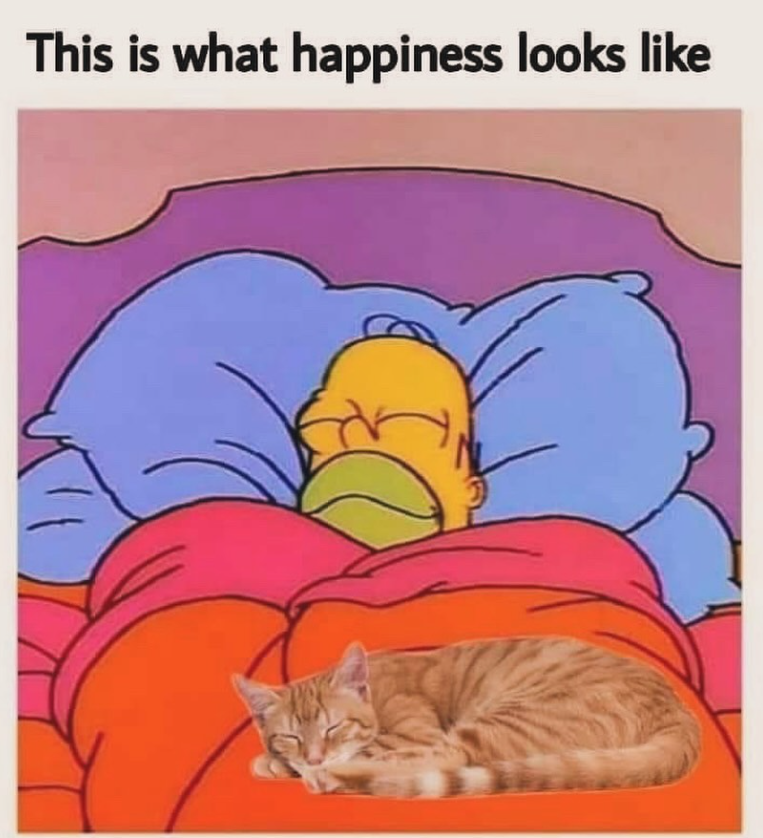 This is what happiness looks like