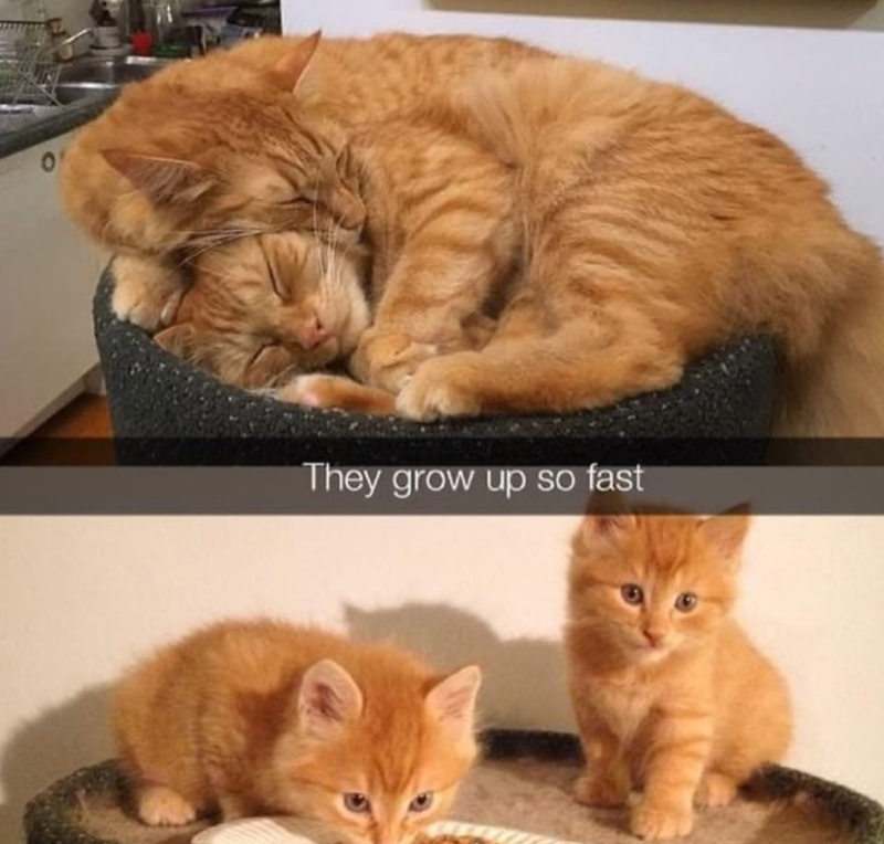 They grow up so fast