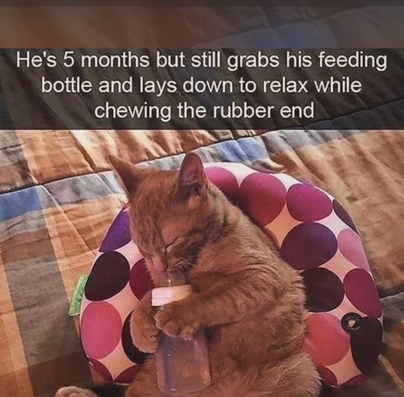 He's 5 months but still grabs his feeding bottle and lays down to relax while chewing the rubber end