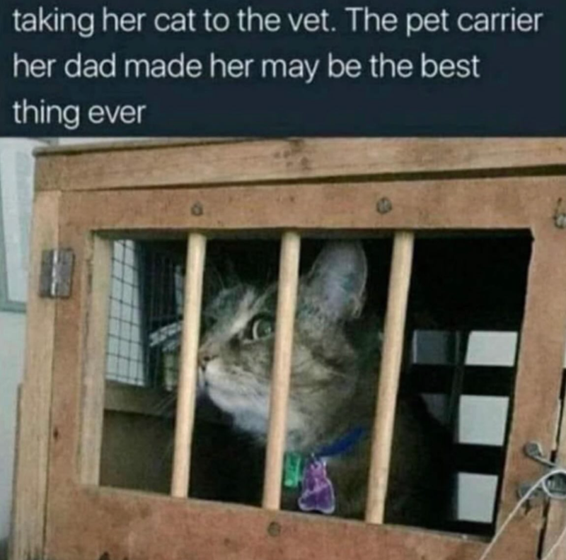 taking her cat to the vet. The pet carrier her dad made her may be the best thing ever