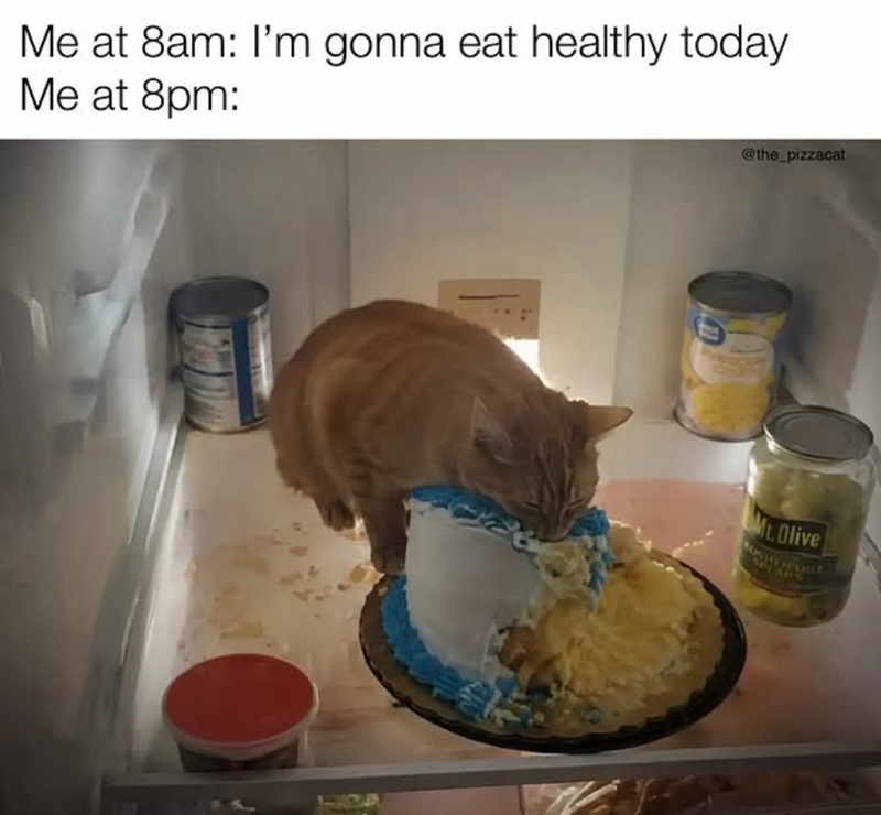 Me at 8am: I'm gonna eat healthy today Me at 8pm: @the_pizzacat Mt. Olive SPEAR