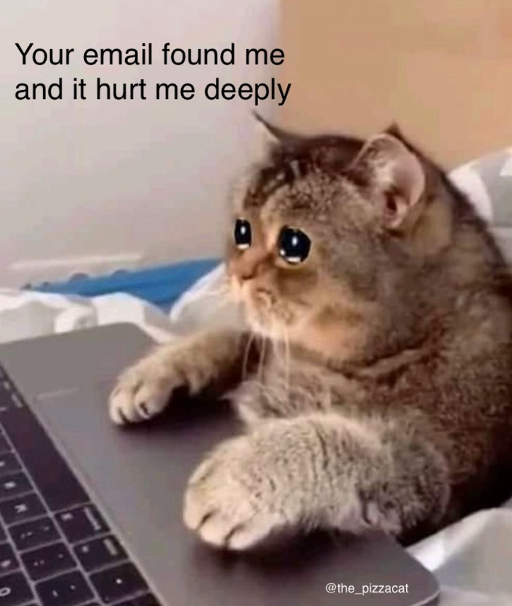 Your email found me and it hurt me deeply O 1 @the_pizzacat
