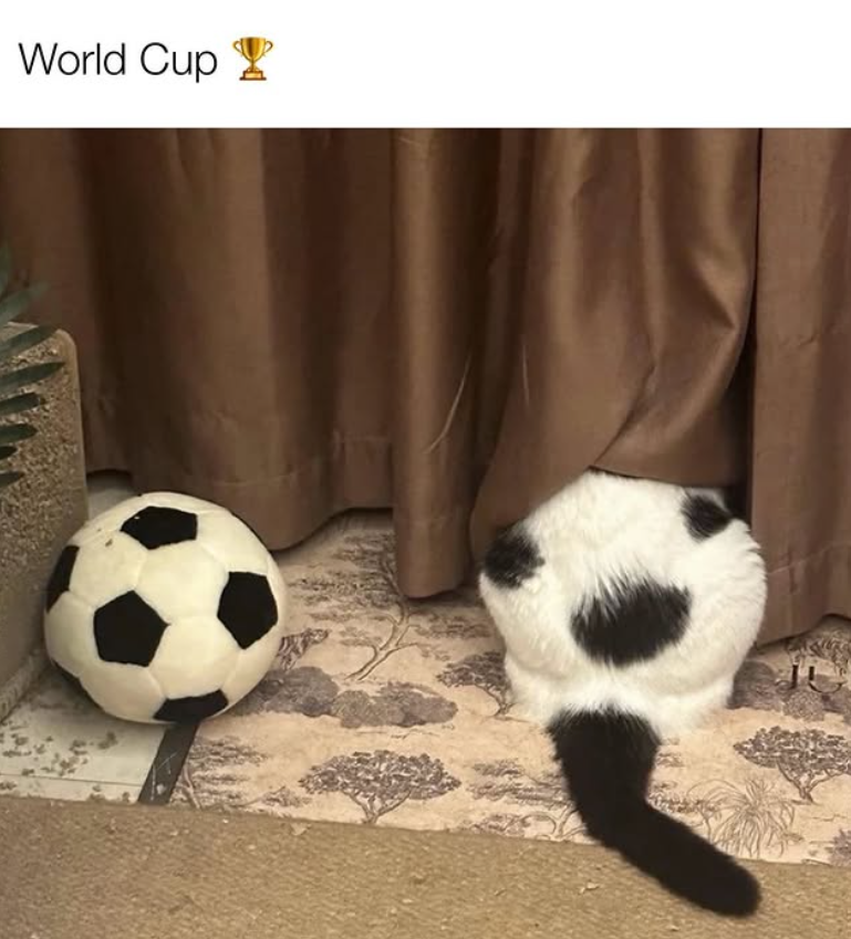 World Cup