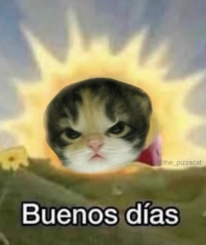 @the_pizzacat Buenos días
