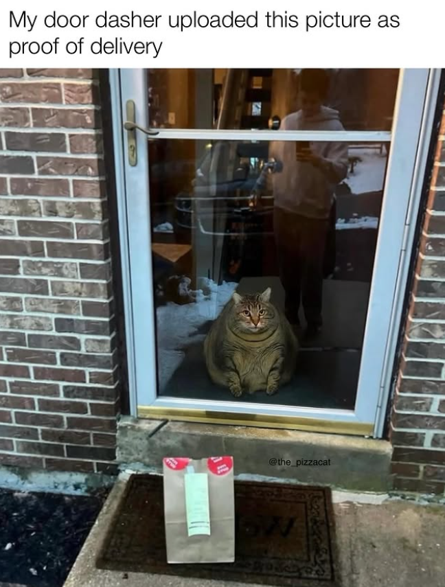 My door dasher uploaded this picture as proof of delivery @the_pizzacat