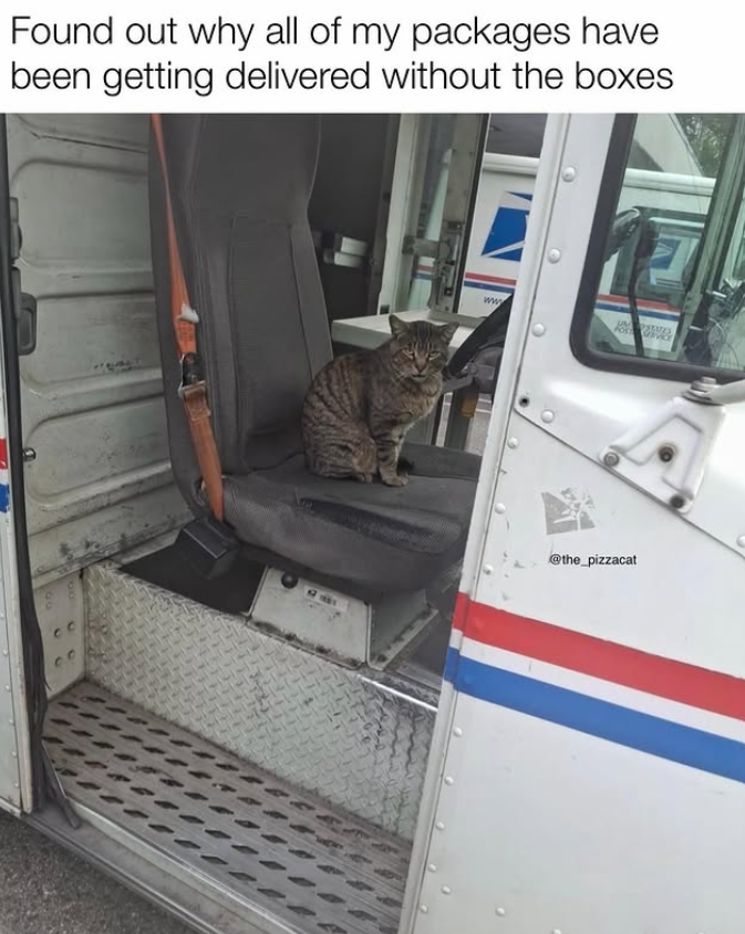 Found out why all of my packages have been getting delivered without the boxes ww FOST STATES @the_pizzacat