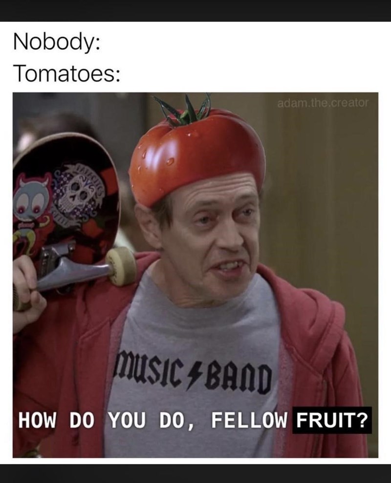 Nobody: Tomatoes: adam.the.creator MUSIC BAND HOW DO YOU DO, FELLOW FRUIT?