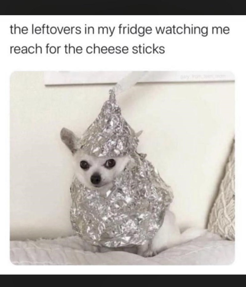 the leftovers in my fridge watching me reach for the cheese sticks