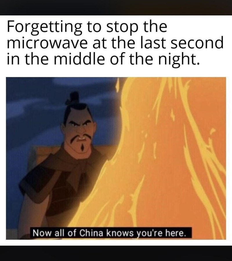 Forgetting to stop the microwave at the last second in the middle of the night. Now all of China knows you're here.