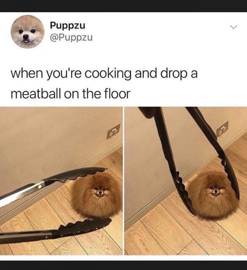 Puppzu @Puppzu when you're cooking and drop a meatball on the floor