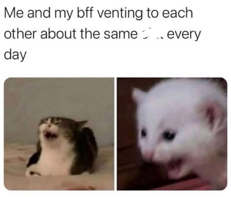 Me and my bff venting to each other about the same every day