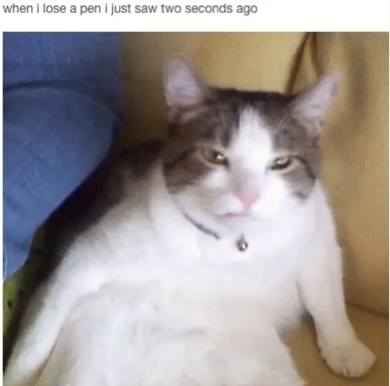 when i lose a pen i just saw two seconds ago