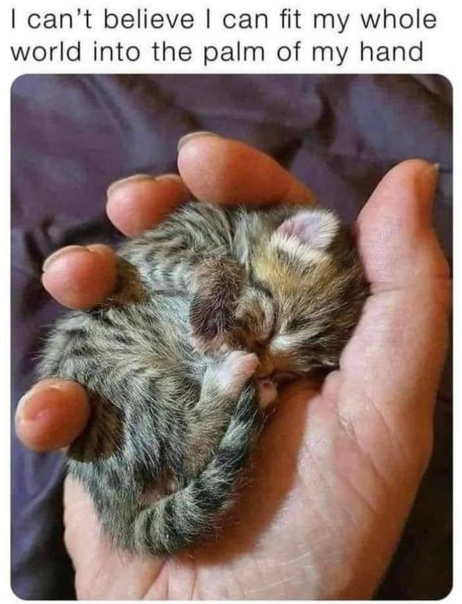I can't believe I can fit my whole world into the palm of my hand