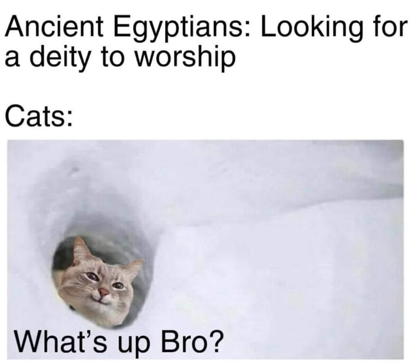 Ancient Egyptians: Looking for a deity to worship Cats: What's up Bro?